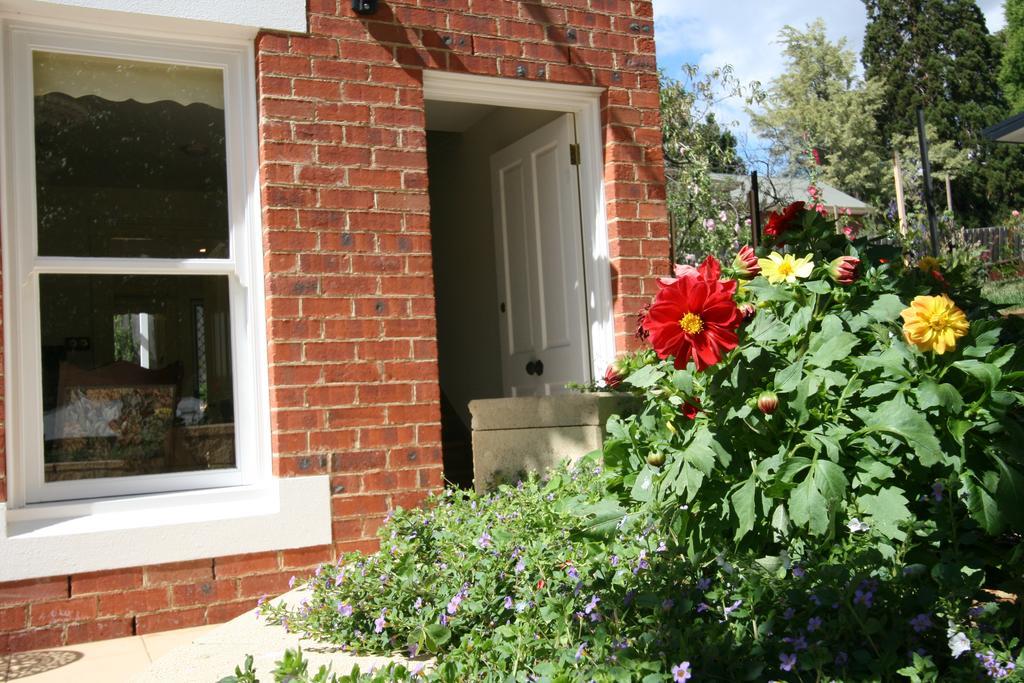 Annies Garden Cottage Hobart Eksteriør bilde